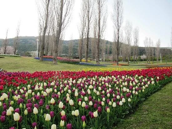Akashi Kaikyo National Government Park