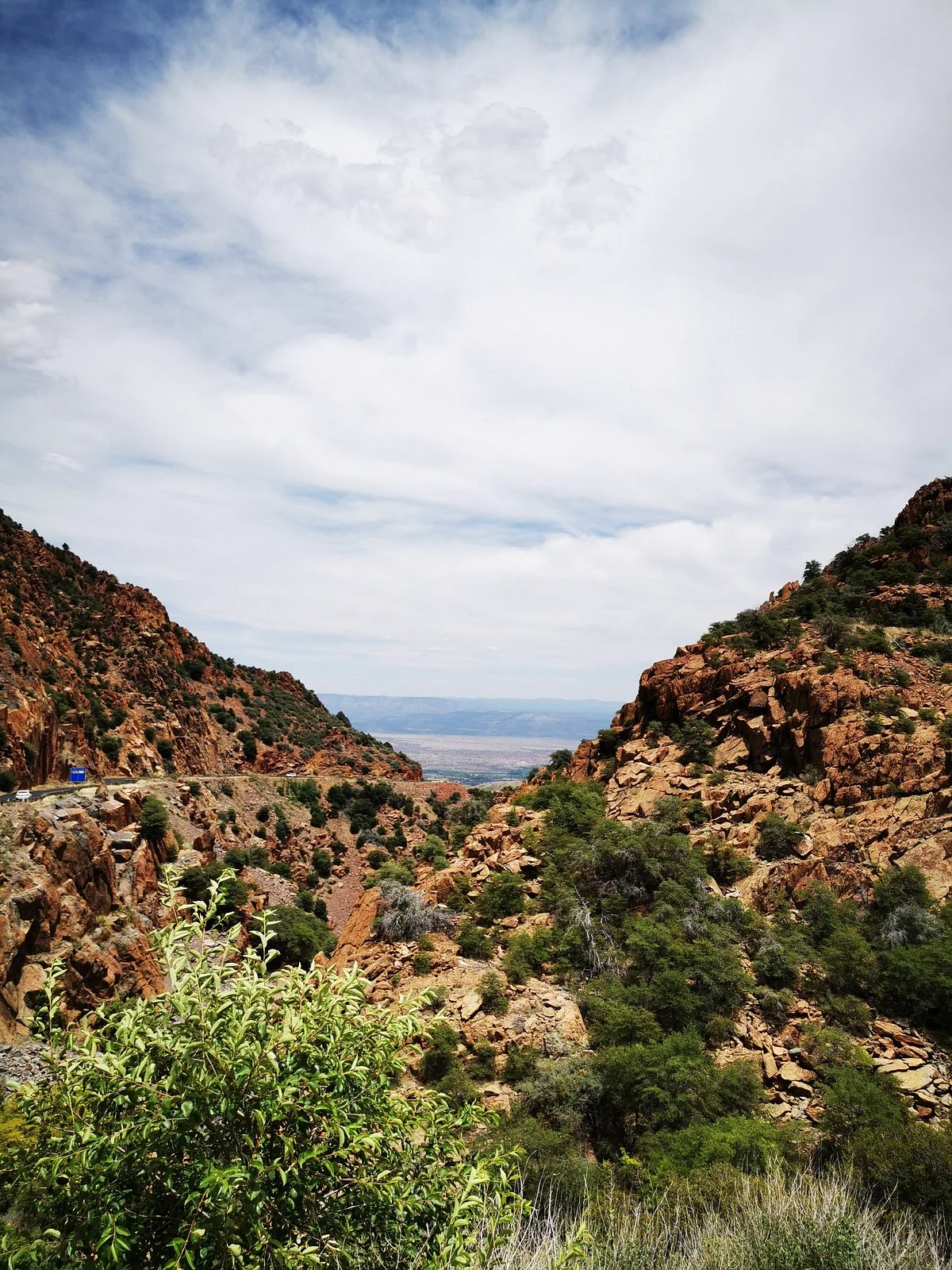 Mingus Mountain Area