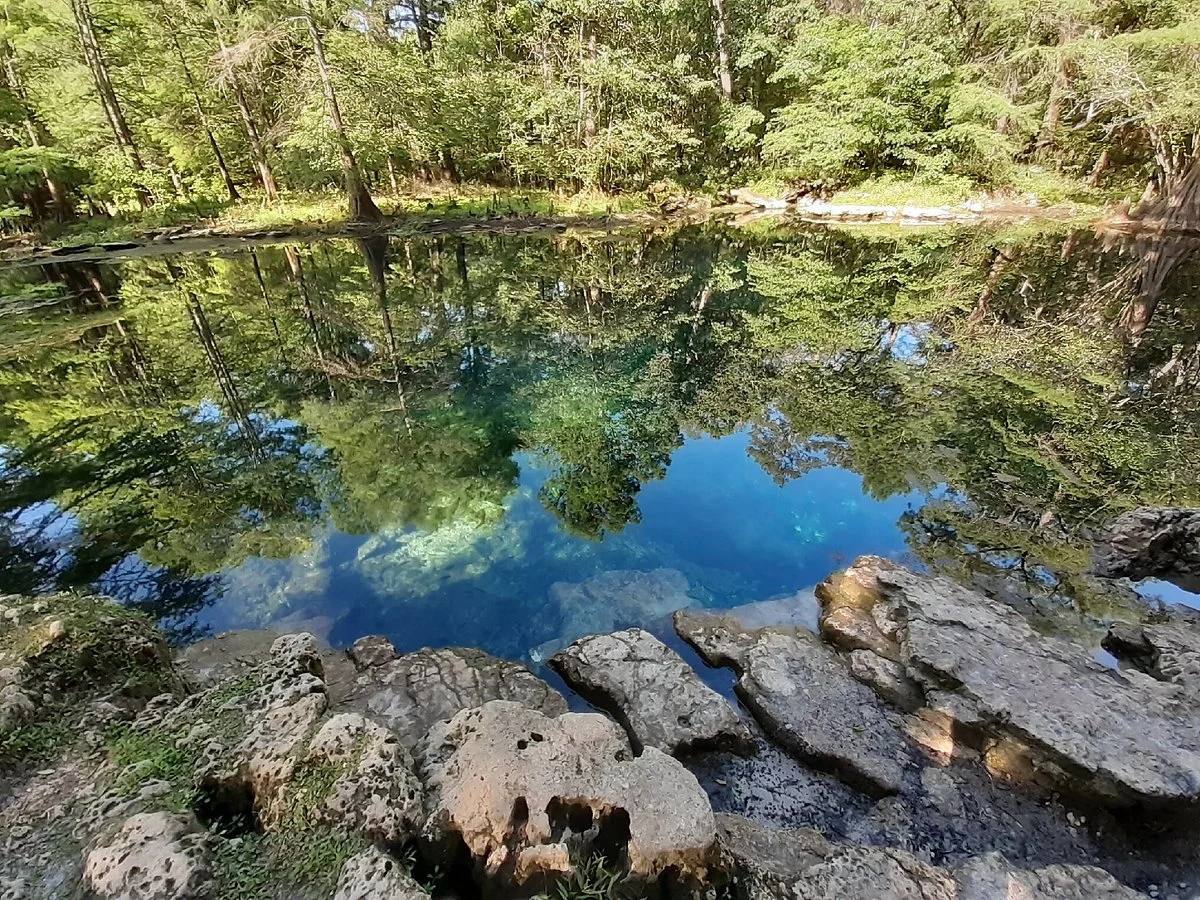 Wes Skiles Peacock Springs State Park