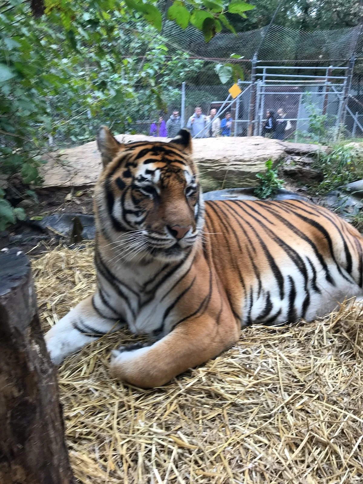Riverside Wildlife Center