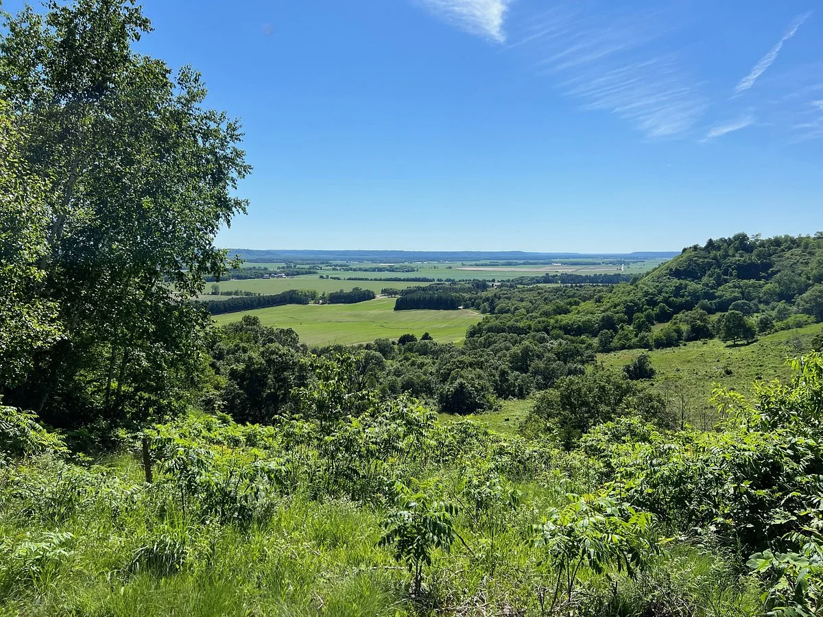 Spring Green Preserve