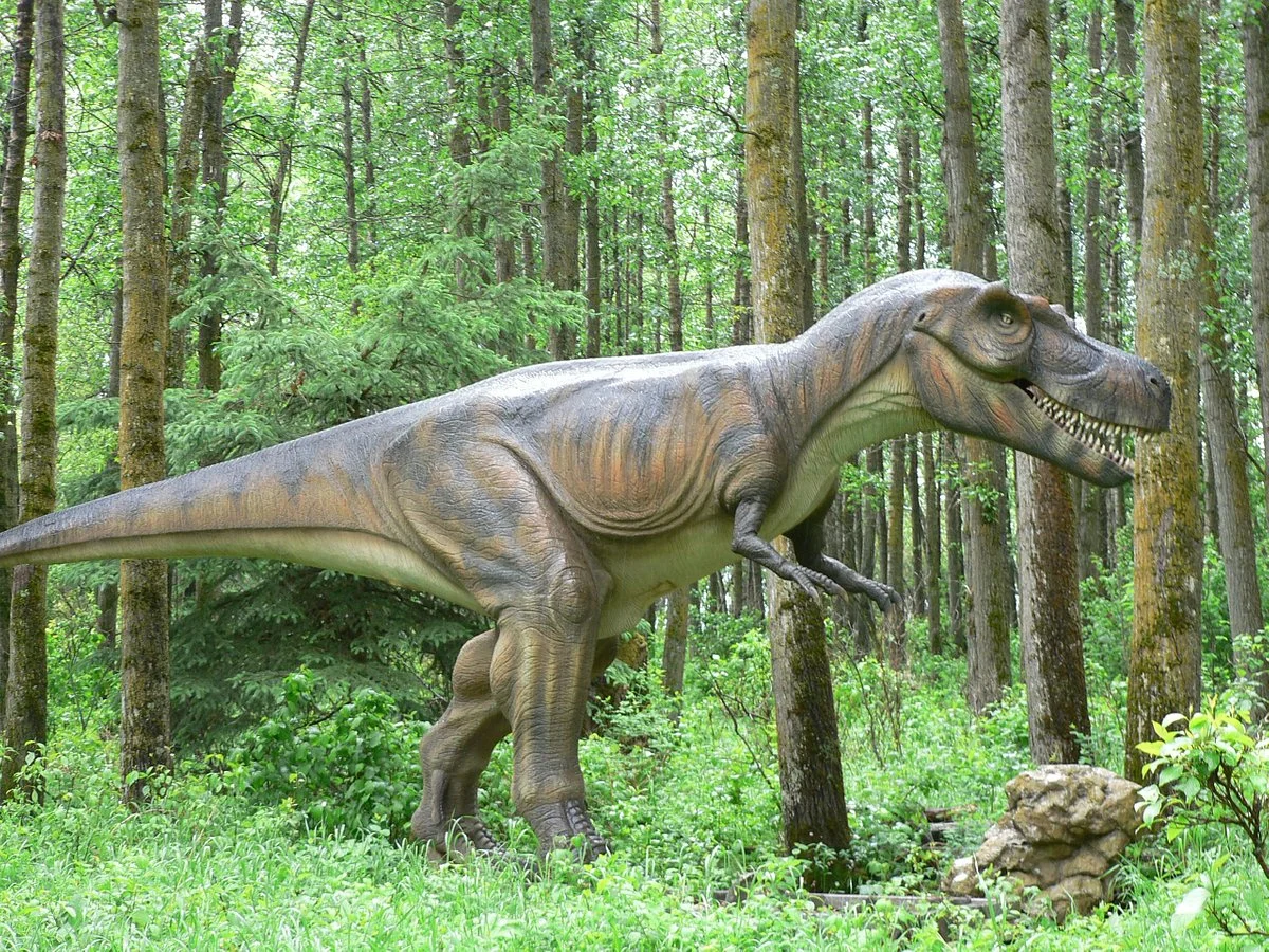 Jurassic Forest