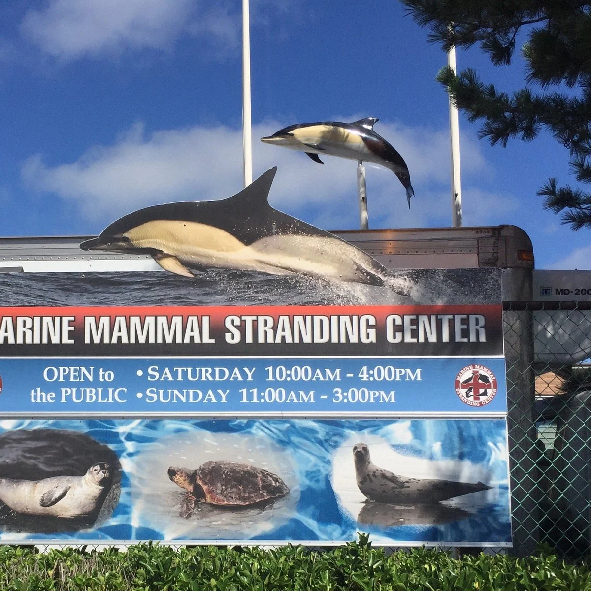 Marine Mammal Stranding Center