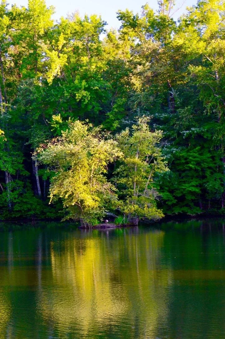 Three Lakes Nature Center and Aquarium