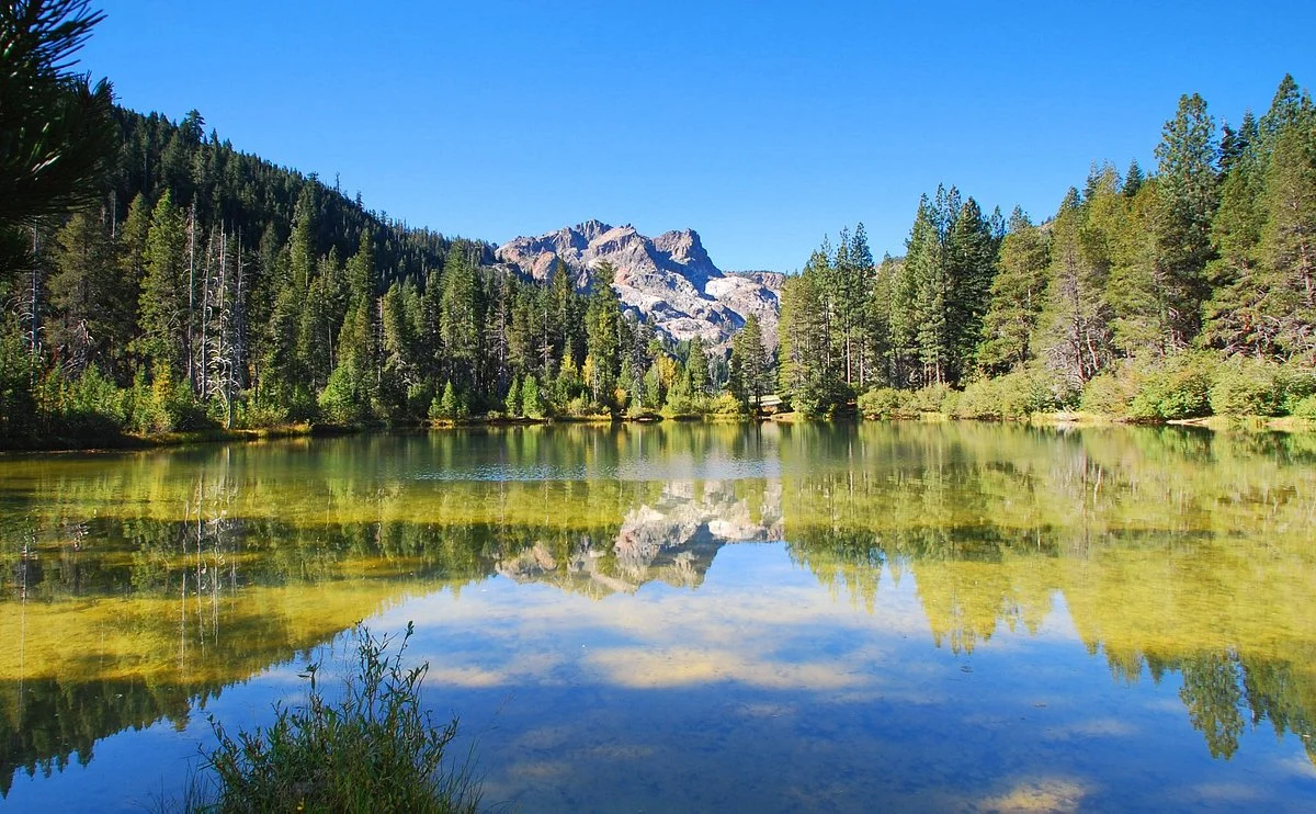 Gold Lake