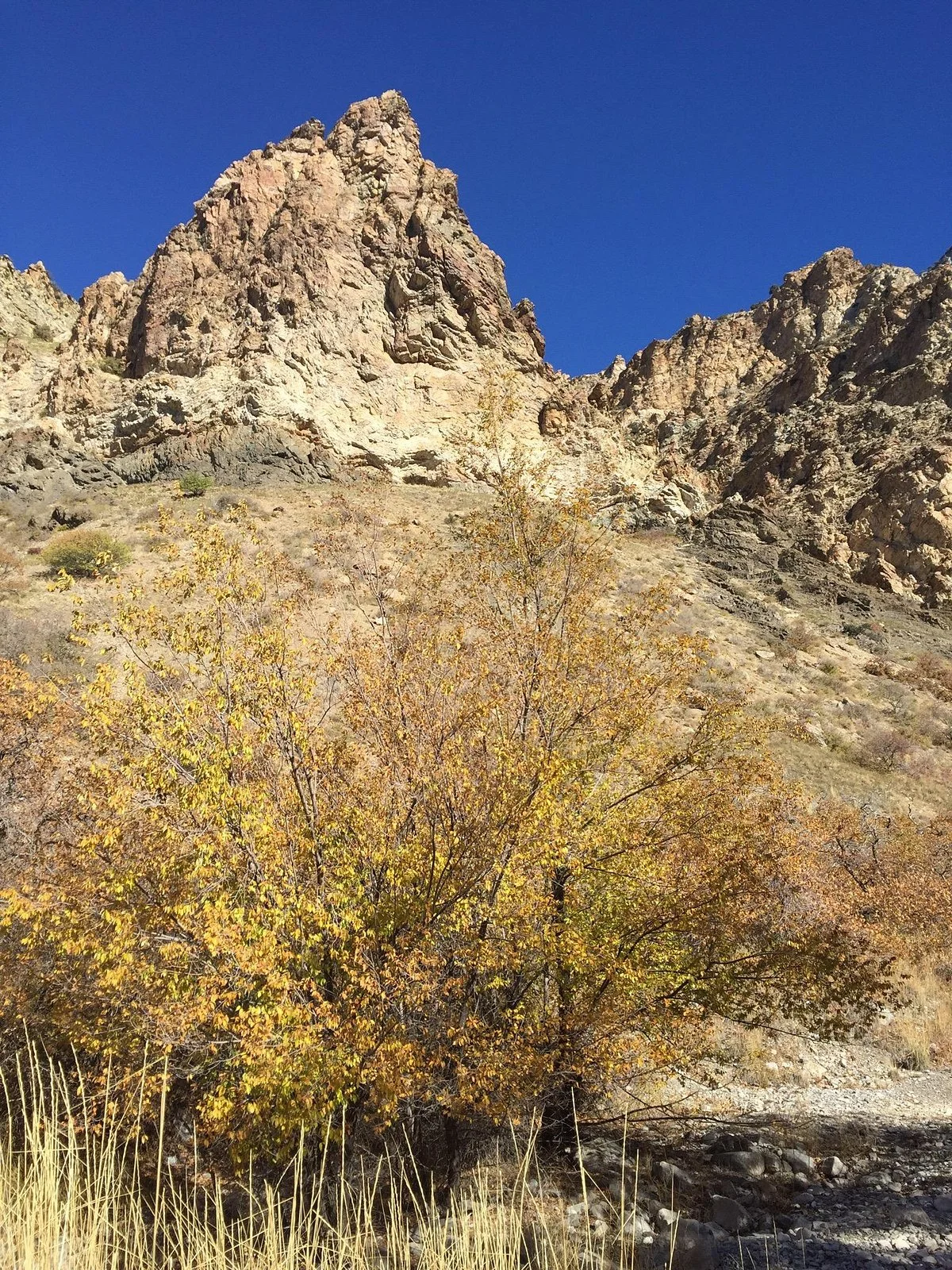 Rock Canyon