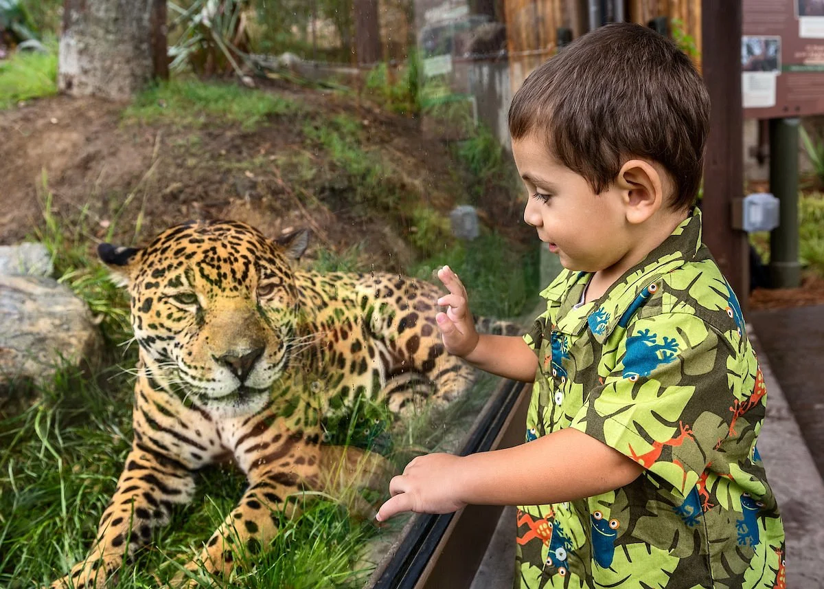 Los Angeles Zoo & Botanical Gardens