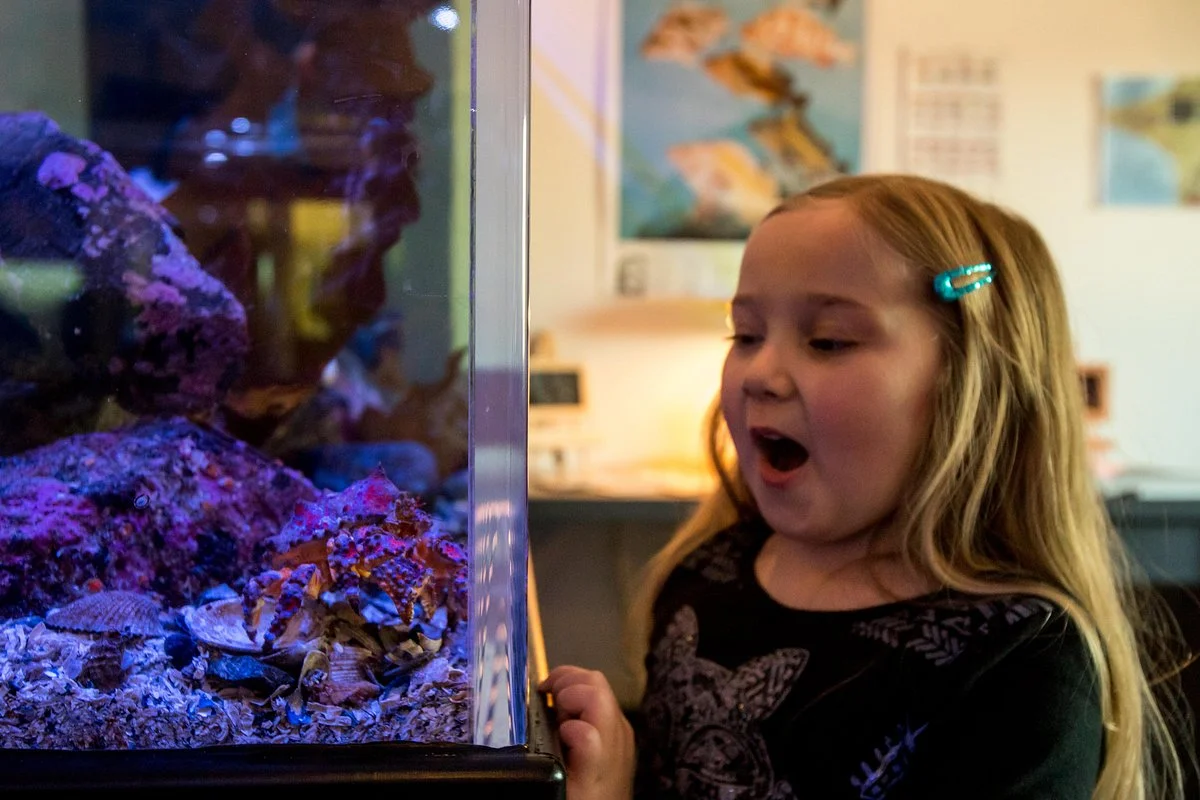 Nicholas Sonntag Marine Education Centre (NSMEC)