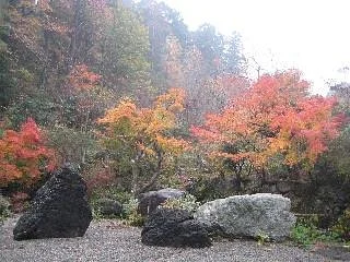Haze Botanical Garden
