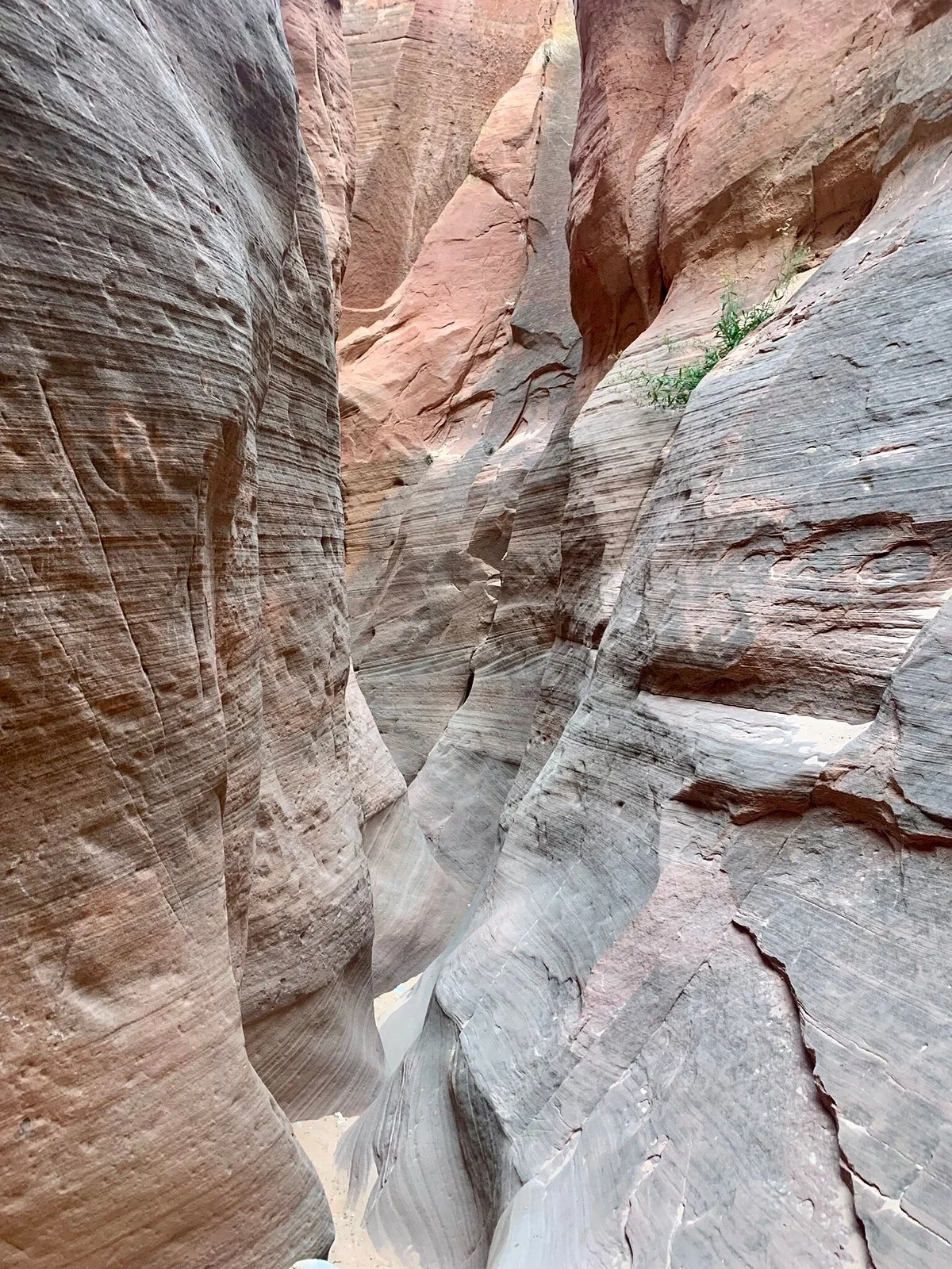 Red Hollow Slot Canyon