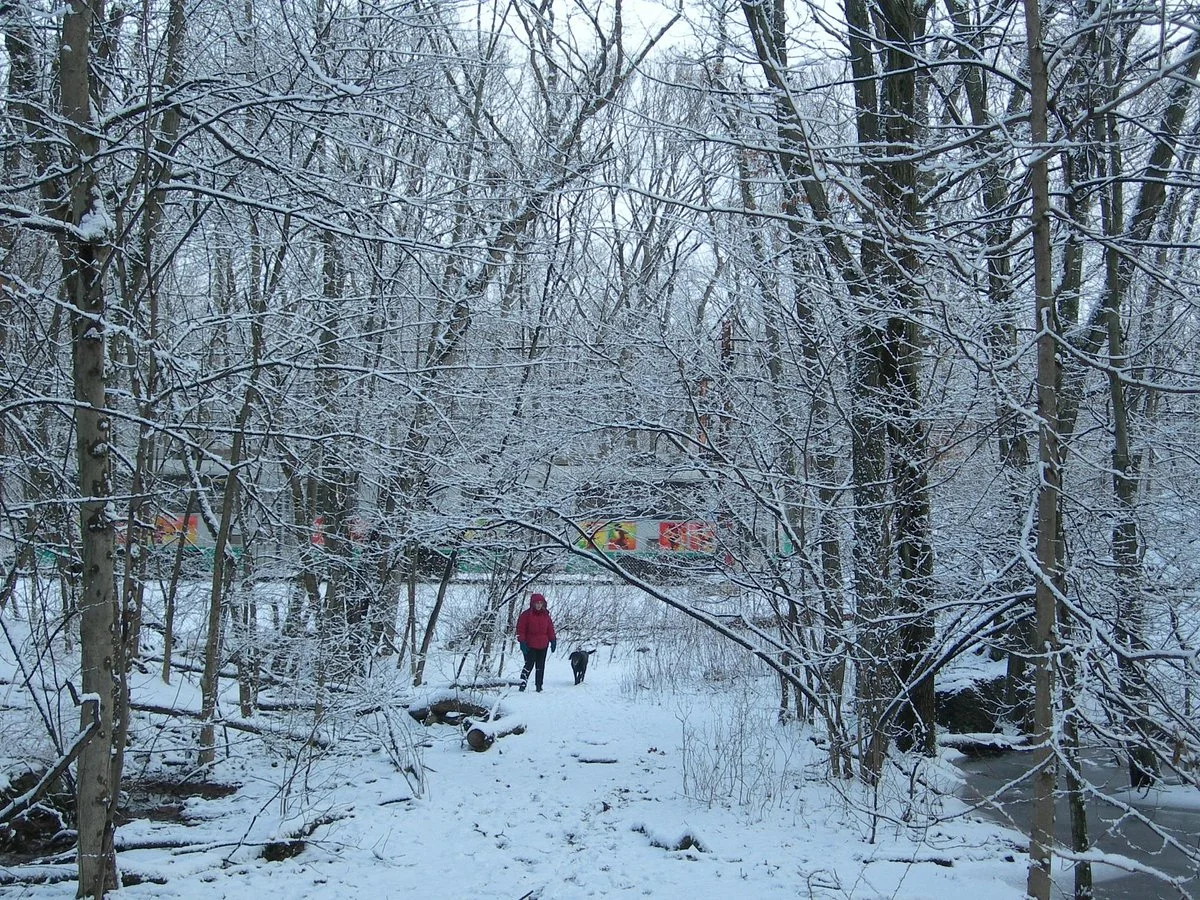 Webster Conservation Area
