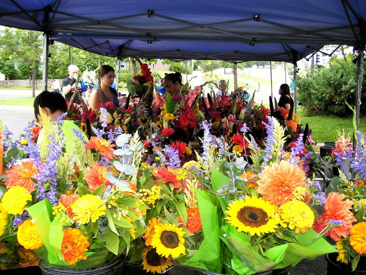 Bloomington Farmer's Market