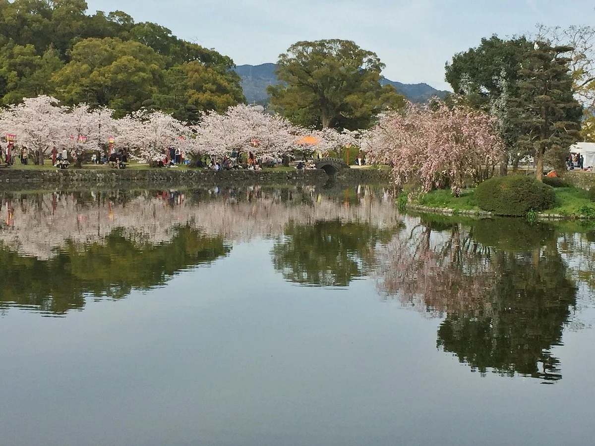 Ogi Park