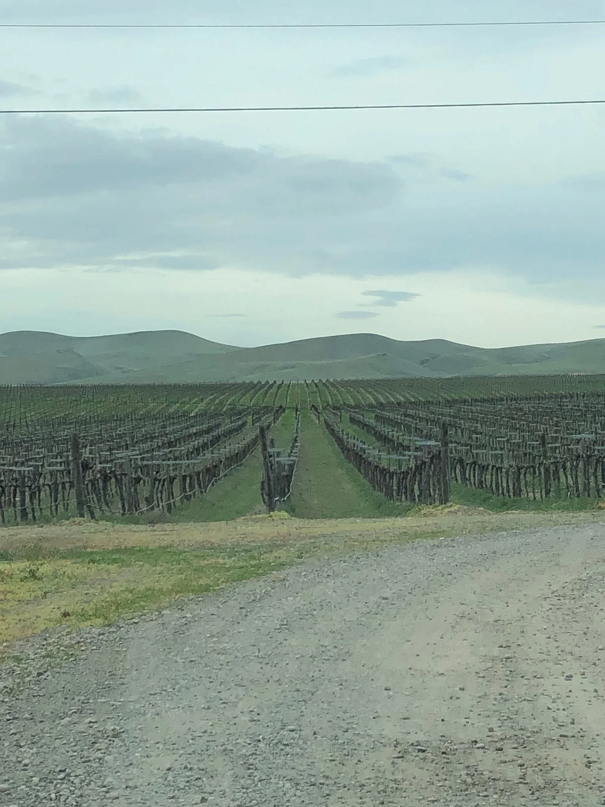 Portteus Vineyards