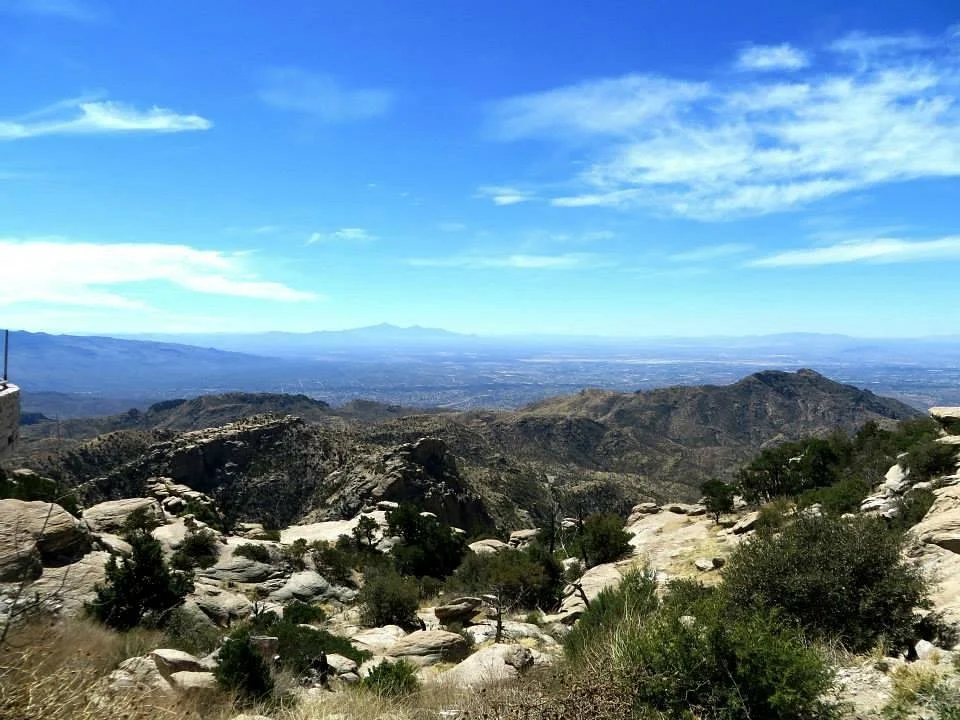 Santa Catalina Mountains