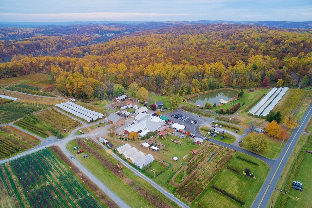 Weaver's Orchard
