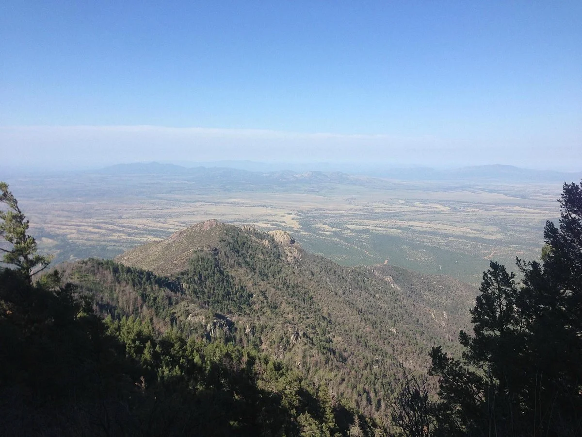 Crest Trail