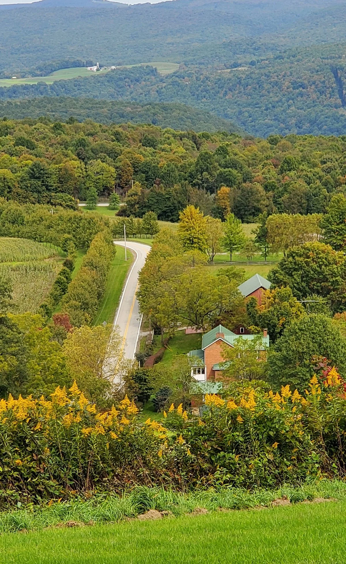Kentuck Knob
