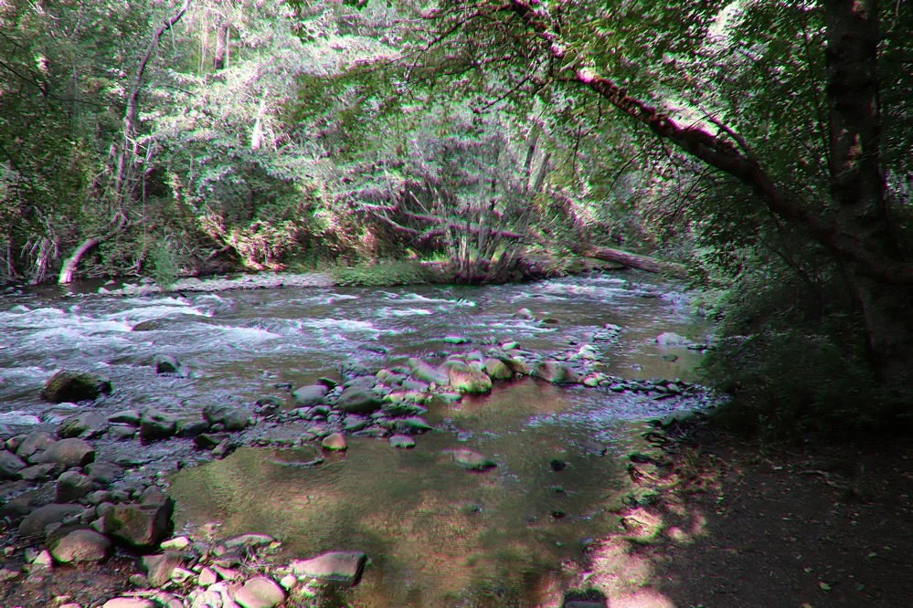 Harris Park