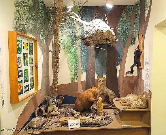 Summerville Museum and Research Center