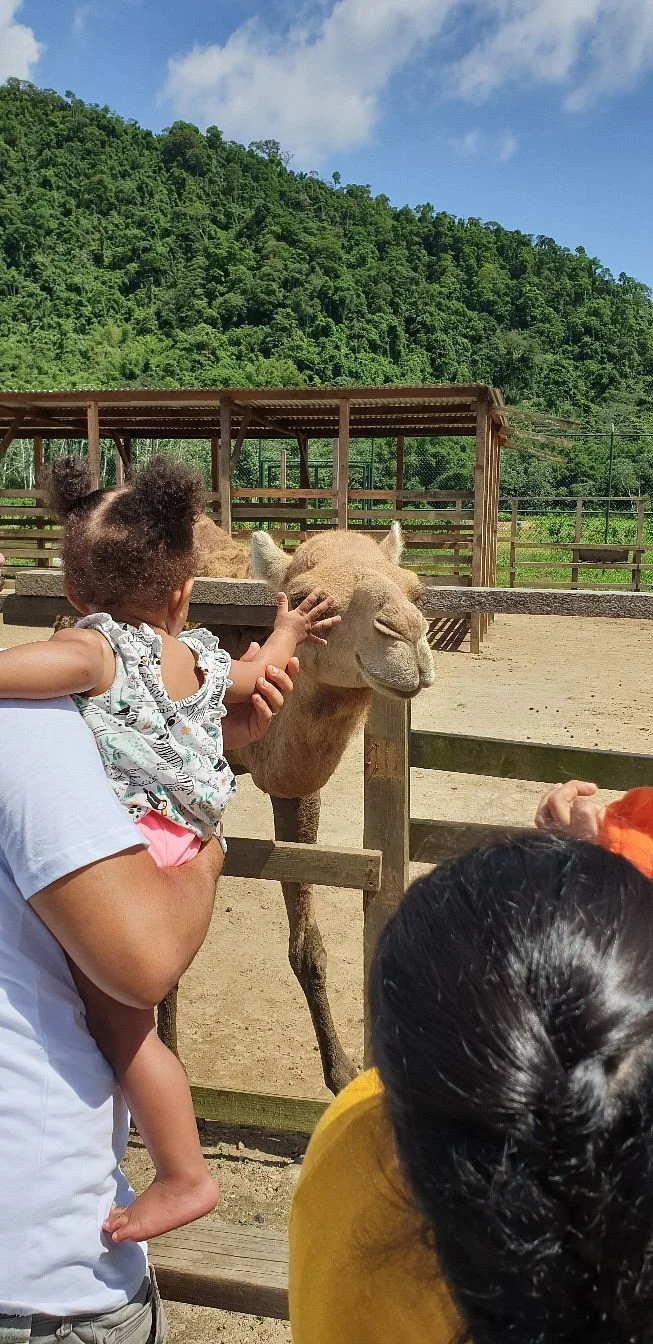 Safari Eco Park