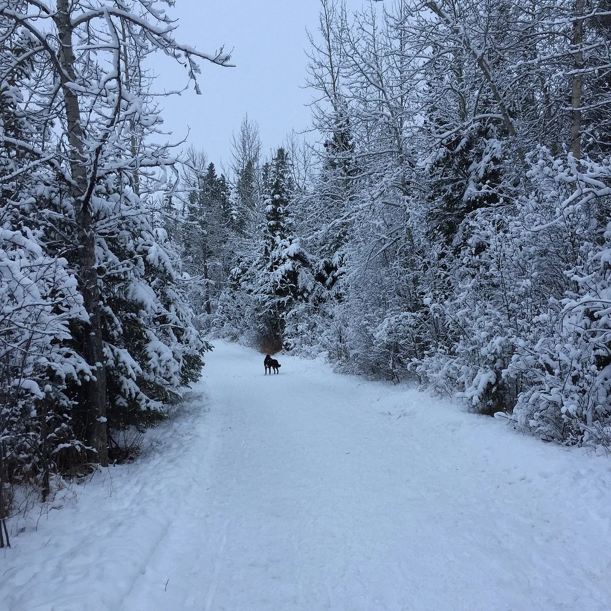 Three Mile Bend Recreation Area