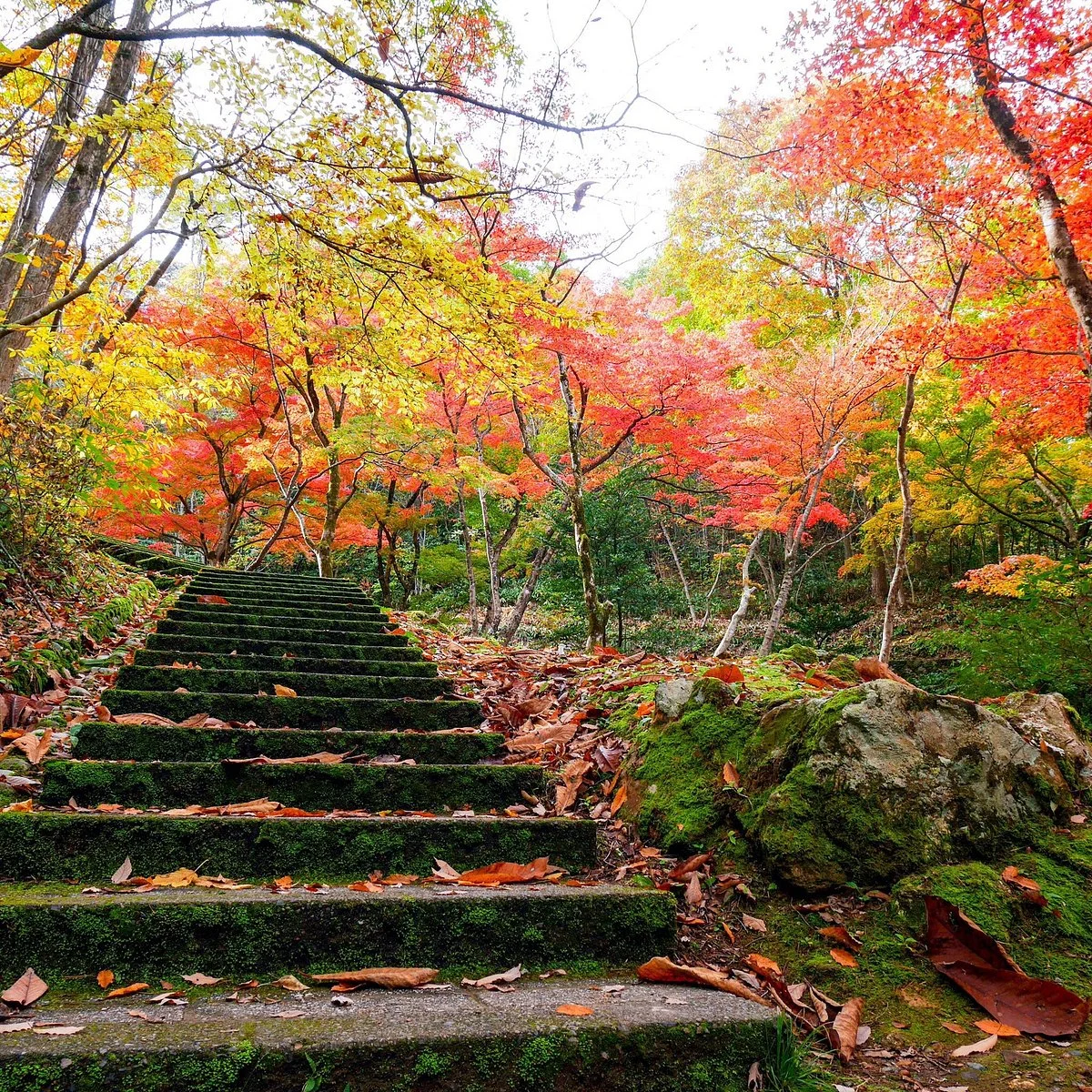Yahiko Park