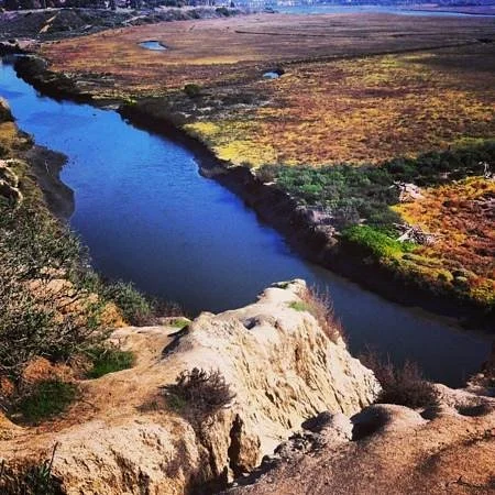 Upper Newport Bay Regional Park
