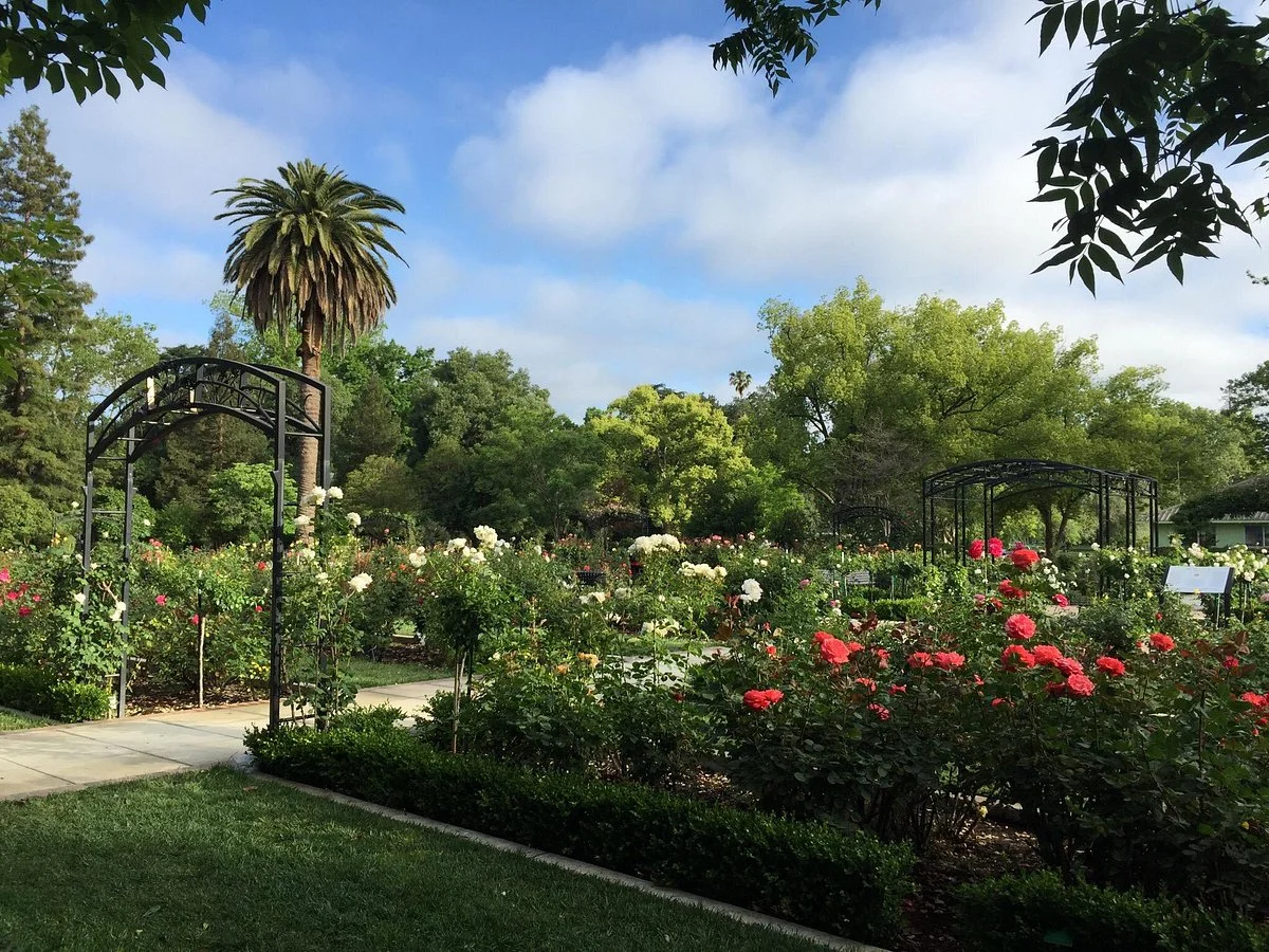 McKinley Park