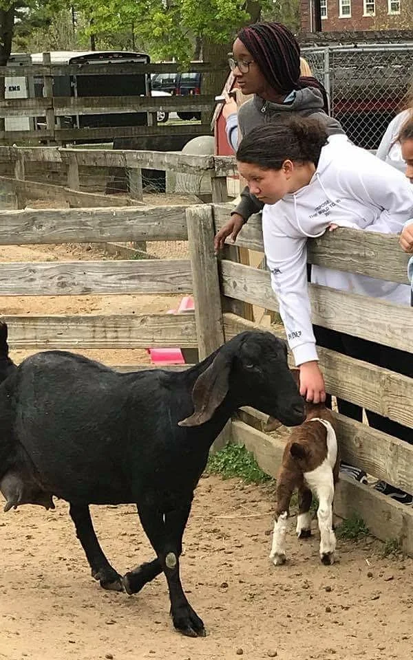 Suffolk County Farm & Education Center