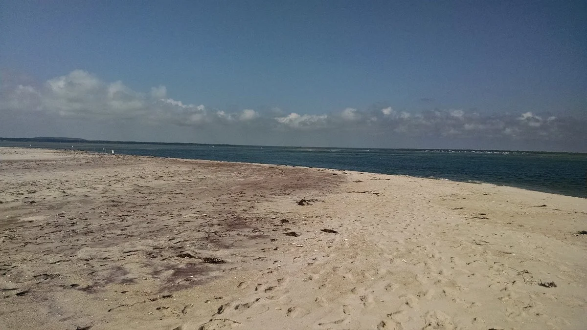 Ho-hum Beach