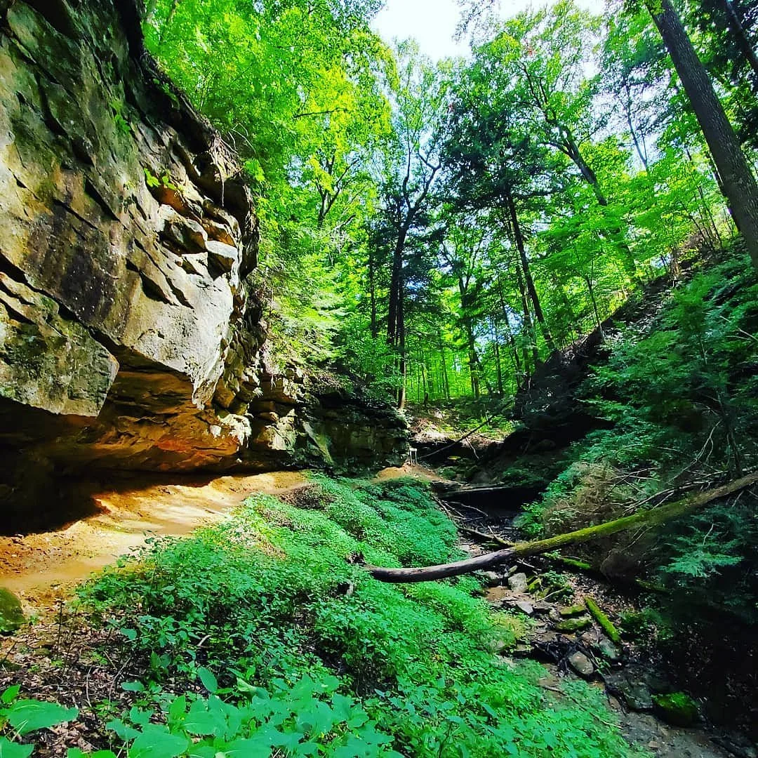 Shades State Park