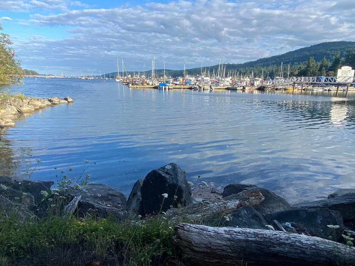 Salt Springs Marina and Landing