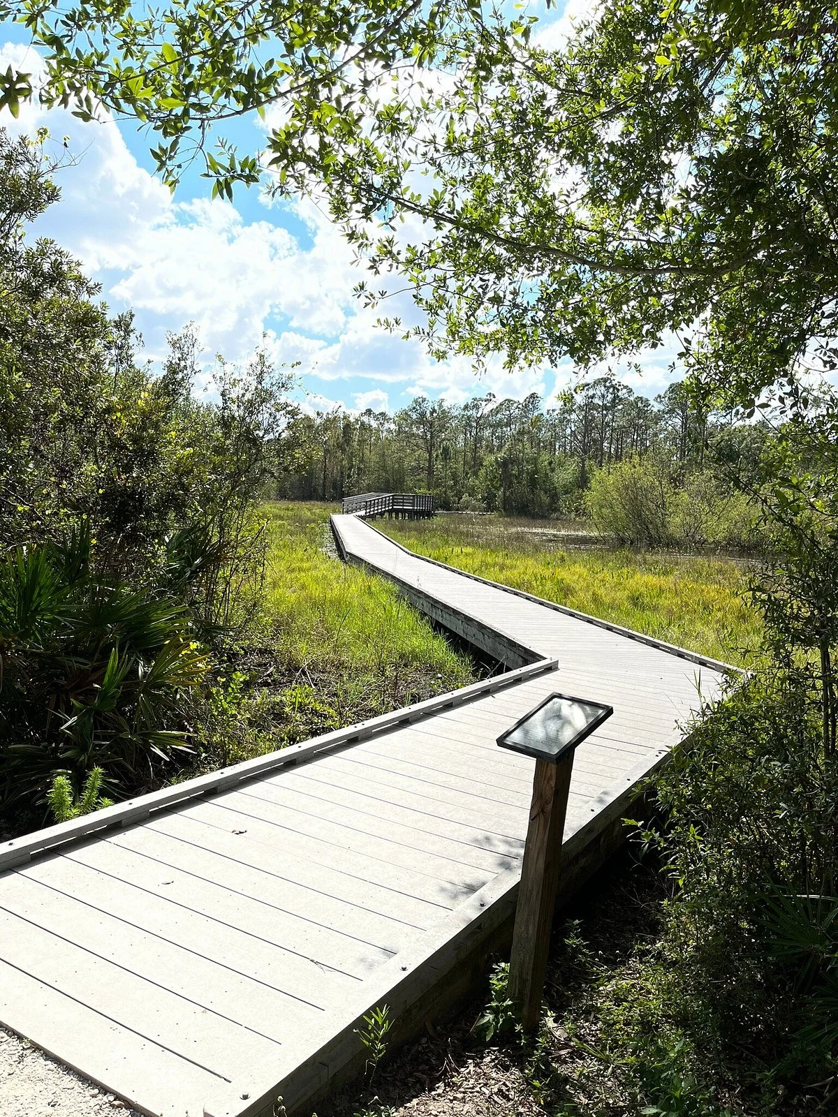 Prairie Pines Preserve
