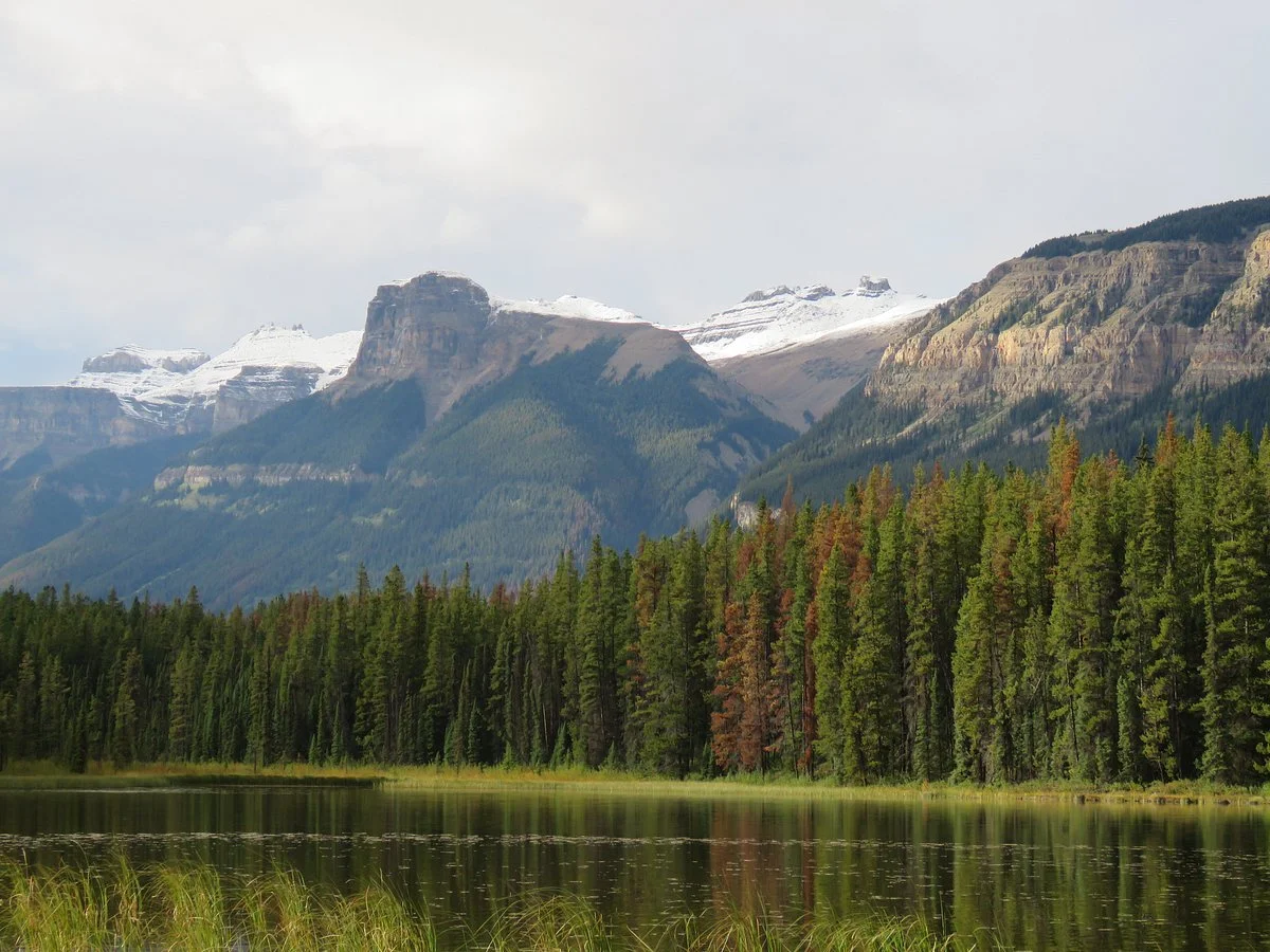 Buck Lake