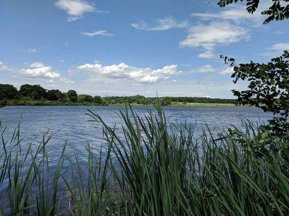 Shabbona Lake State Park