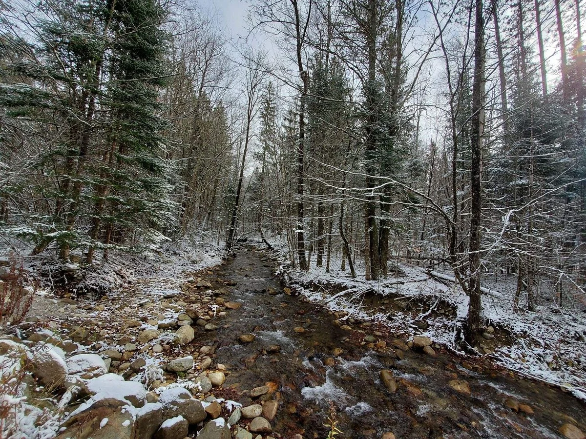 McLaughlin Falls