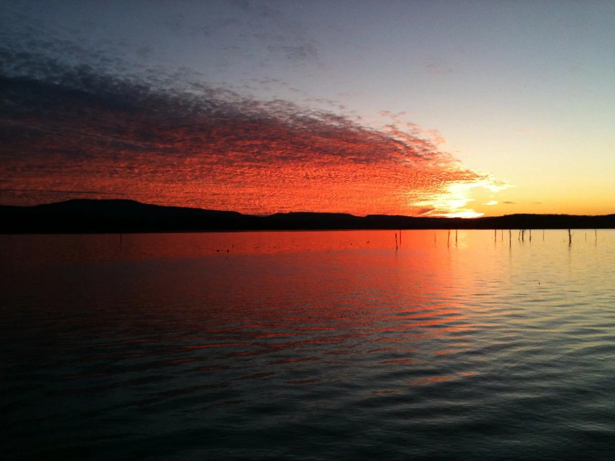 Lake Dardanelle State Park