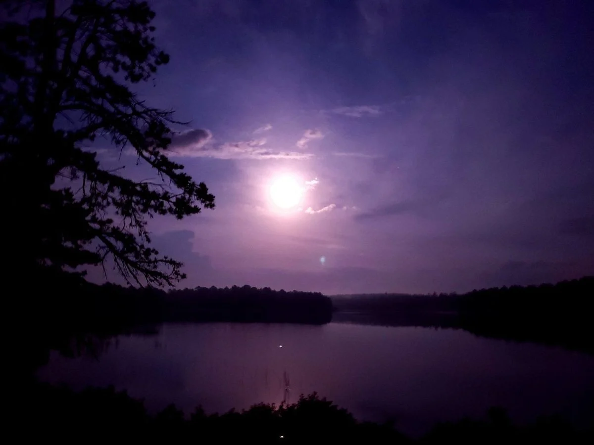Bass River State Forest