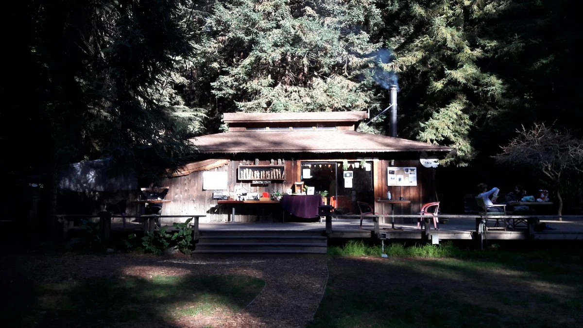 Henry Miller Memorial Library