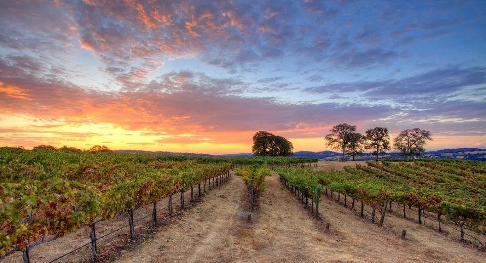 Naggiar Vineyard & Winery