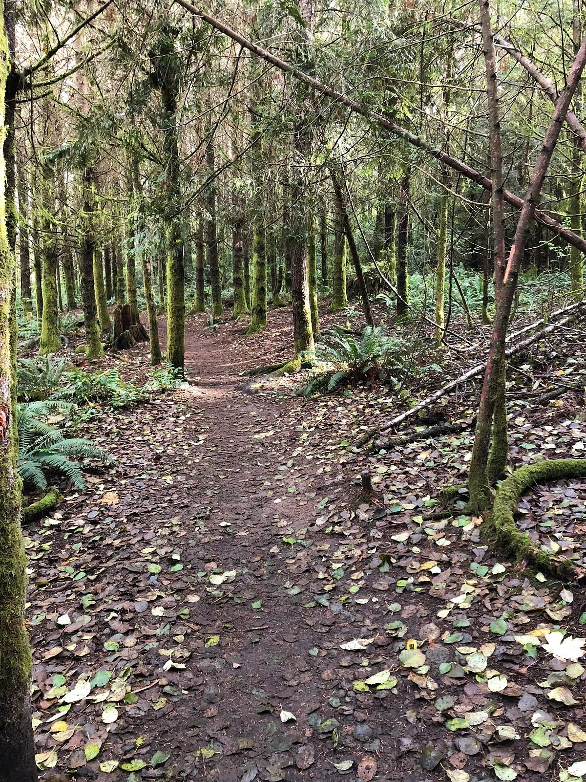 North Kitsap Heritage Park