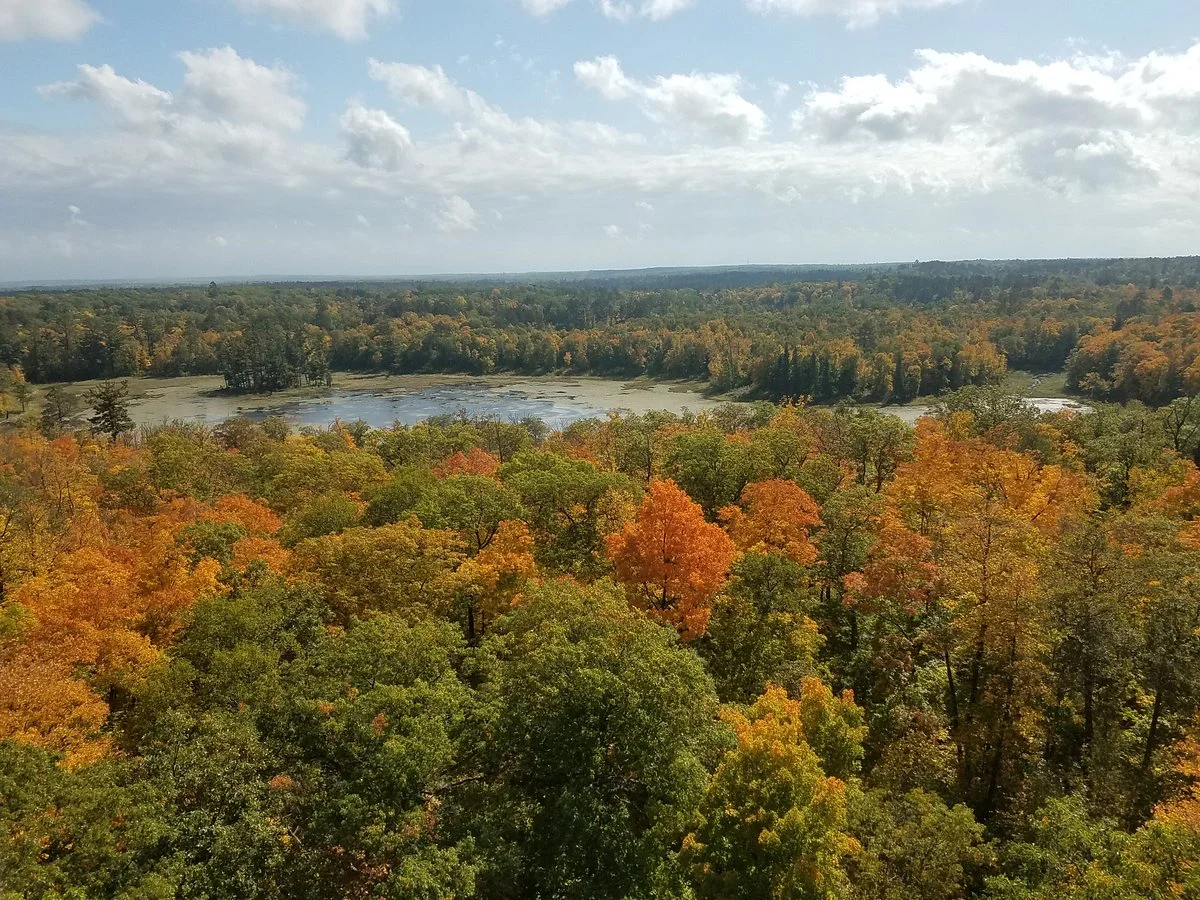 Aiton Heights Fire Tower