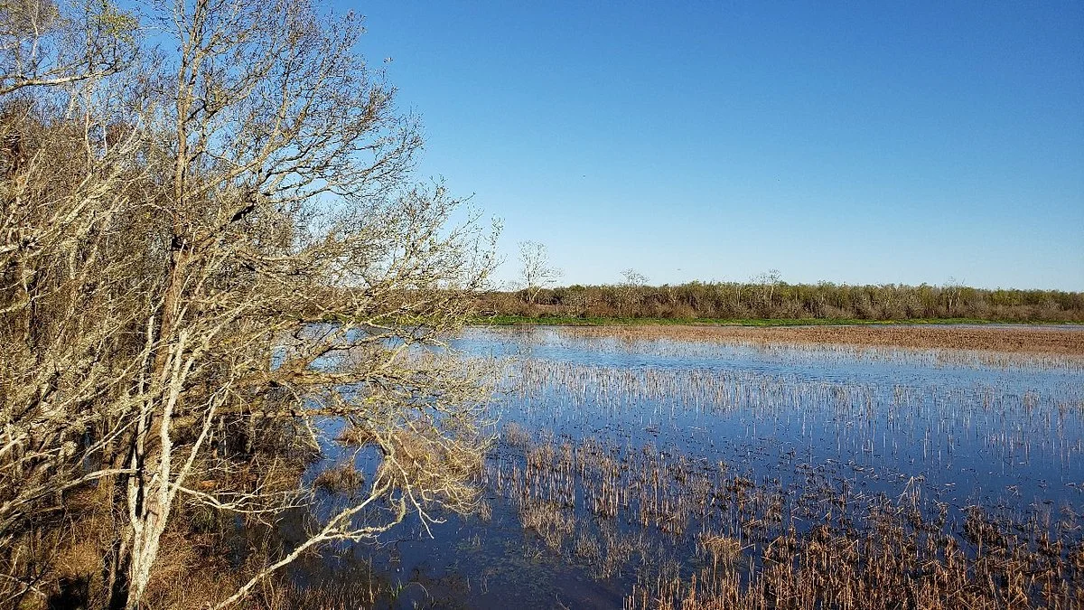 Grand Cote National Wildlife Refuge