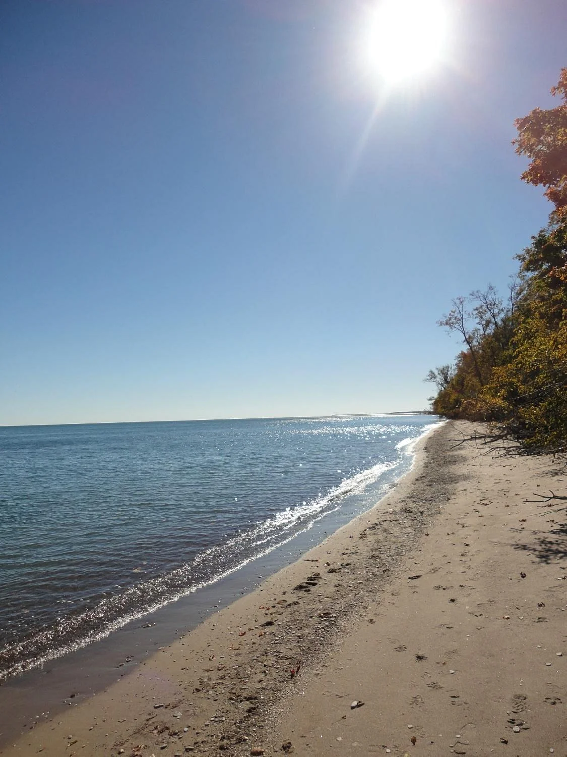 Fish Point Nature Reserve