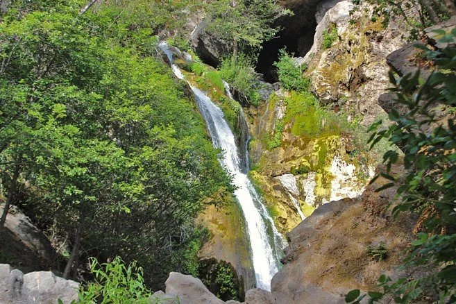 Salmon Creek Falls Trail