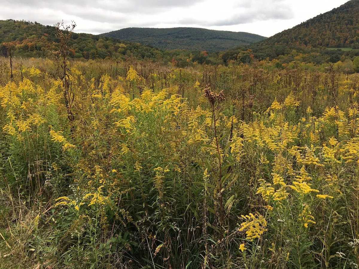 Sang Run State Park