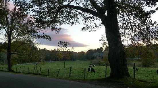 Aldermere Farm