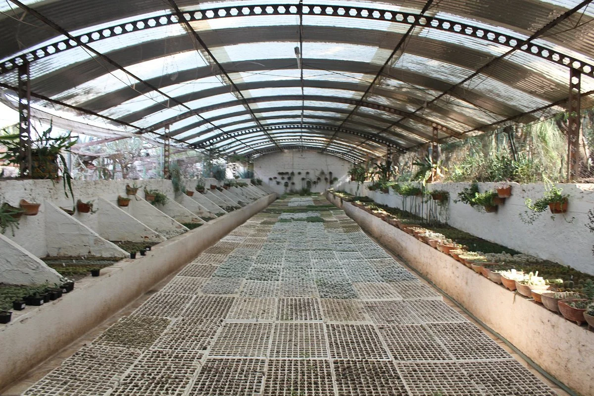 Vivero Quinta Fernando Schmoll