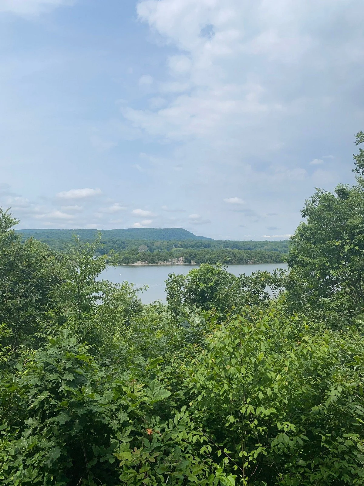 Hyde Park Trail